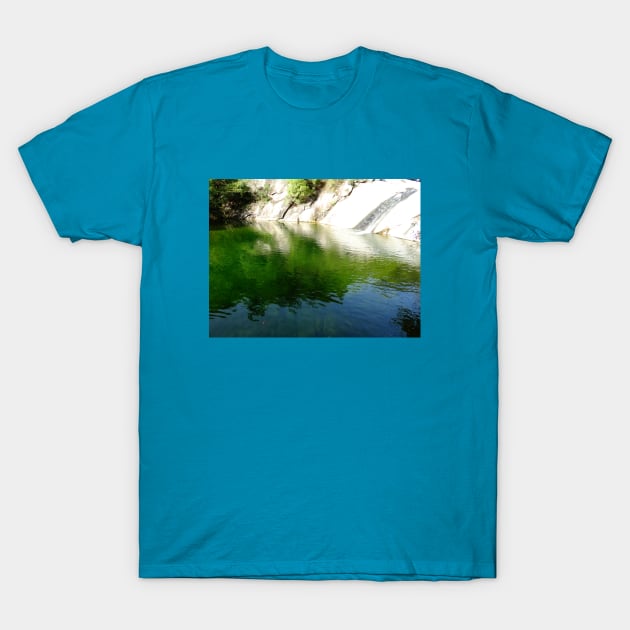 Reflections on Still Water Collection 3 T-Shirt by ALifeSavored